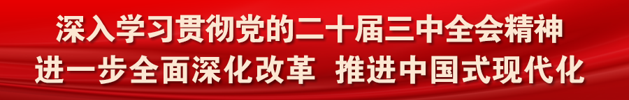 pNg, 在预赛中胜