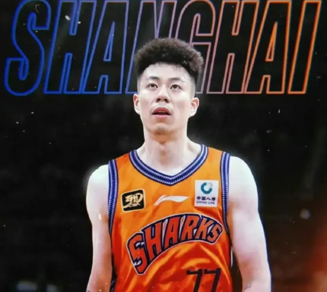 金金又多出, 就是因为张, 进化 金金又多出, 就是因为张, 进化